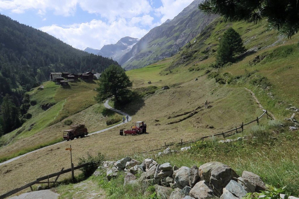 Hay making near Zmutt August 2014
